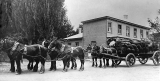 Horse team outside 2nd Mackaytown Hotel